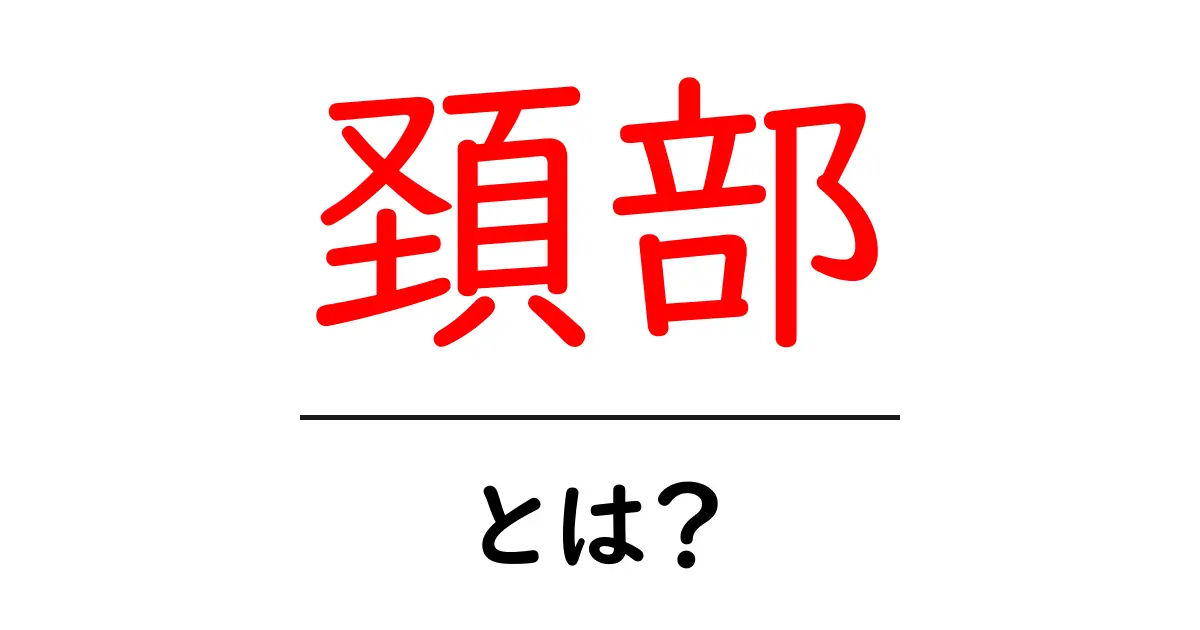 頚部とは？知られざる体の重要な部分を解説！共起語・同意語も併せて解説！