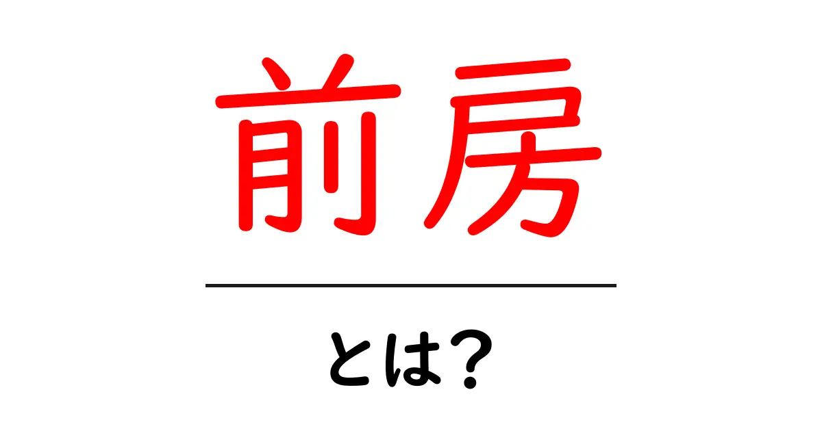 前房とは?その意味と役割をわかりやすく解説!共起語・同意語も併せて解説!