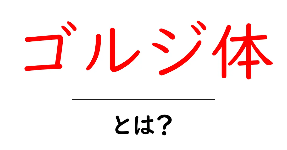 ゴルジ体とは?細胞の中で重要な役割を果たす構造についてわかりやすく解説共起語・同意語も併せて解説!