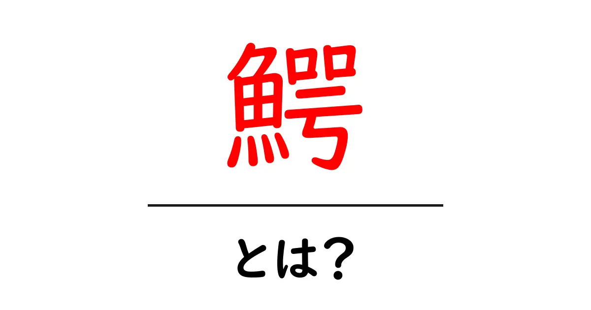 「鰐」とは?その特徴や生態を徹底解説!共起語・同意語も併せて解説!
