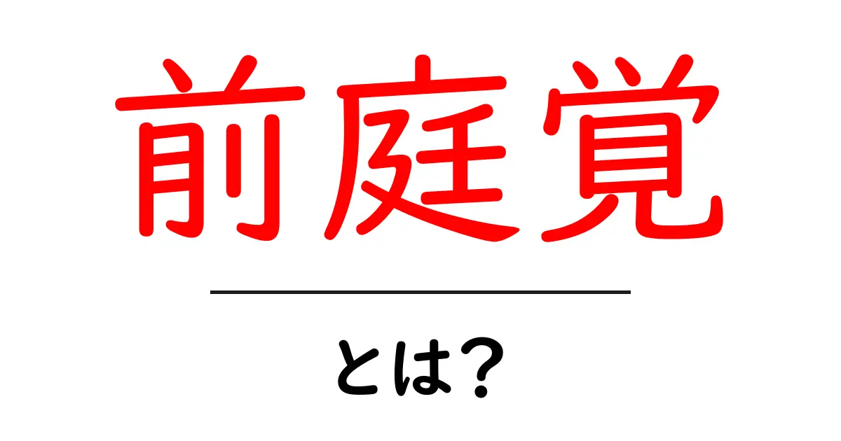 前庭覚とは?私たちの体の感覚を支える重要なシステムを理解しよう共起語・同意語も併せて解説!
