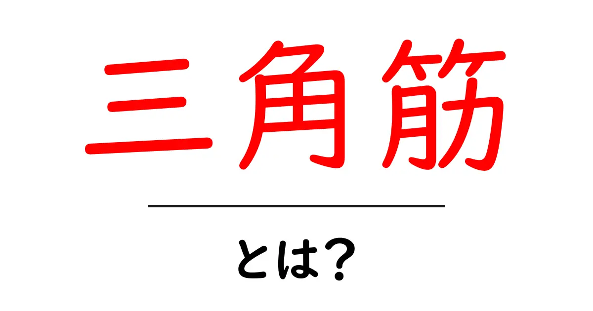 知っておきたい！三角筋の全貌とその役割共起語・同意語も併せて解説！