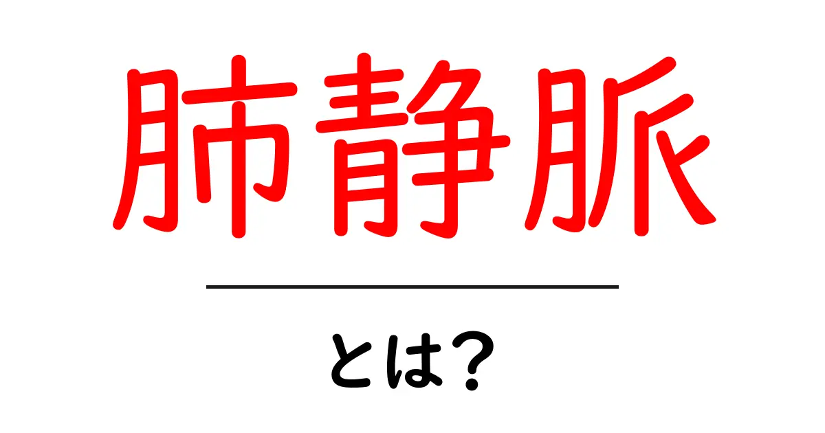 肺静脈とは?脳から心臓への重要な血管の役割を解説!共起語・同意語も併せて解説!