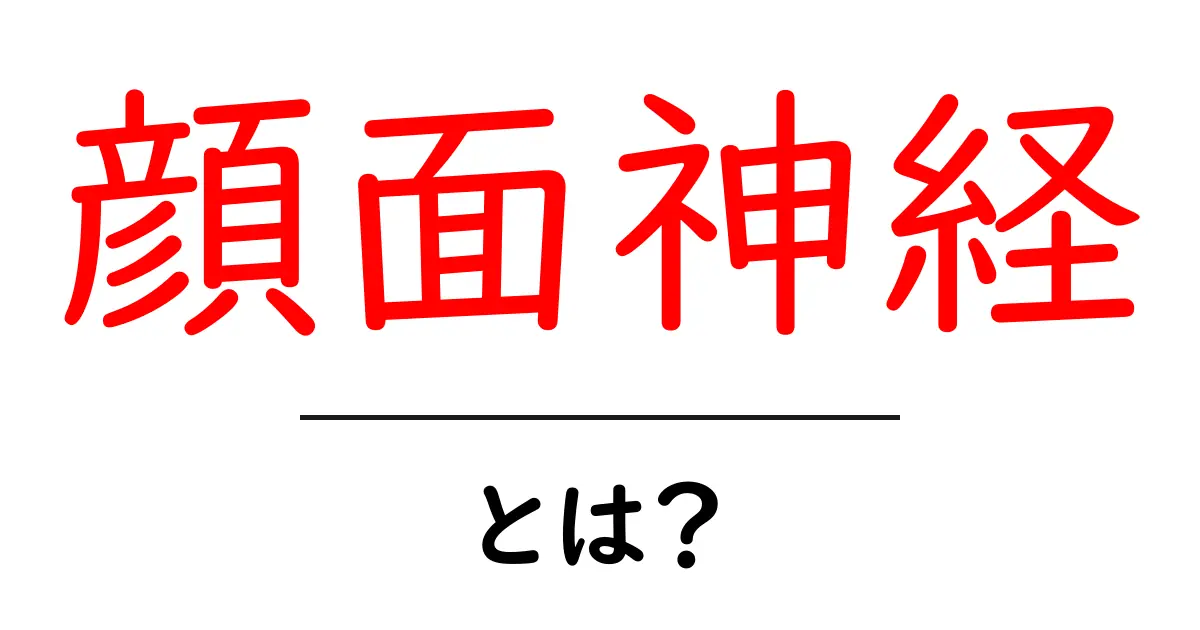 顔面神経とは?その役割と健康への影響を解説!共起語・同意語も併せて解説!