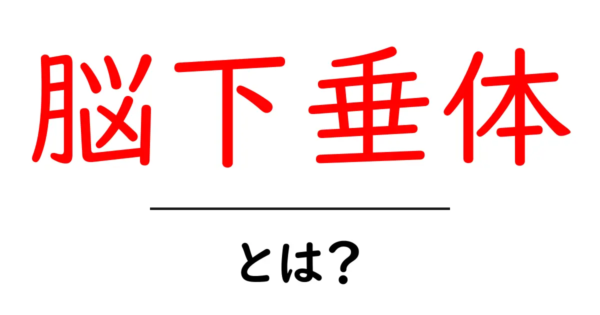 脳下垂体とは?私たちの健康に欠かせない重要な器官について解説!共起語・同意語も併せて解説!