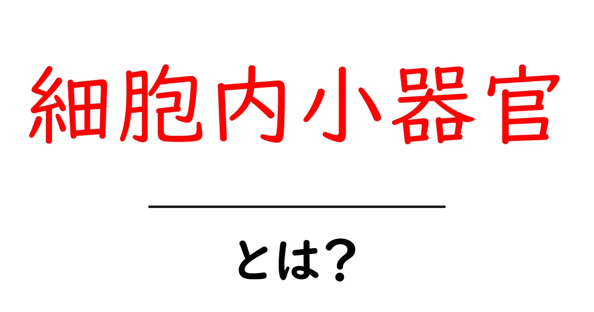 細胞内小器官とは?基本からわかる細胞の中の小さな働き者たち共起語・同意語も併せて解説!