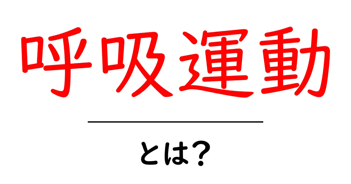 呼吸運動とは?私たちの体に与える影響とその重要性共起語・同意語も併せて解説!