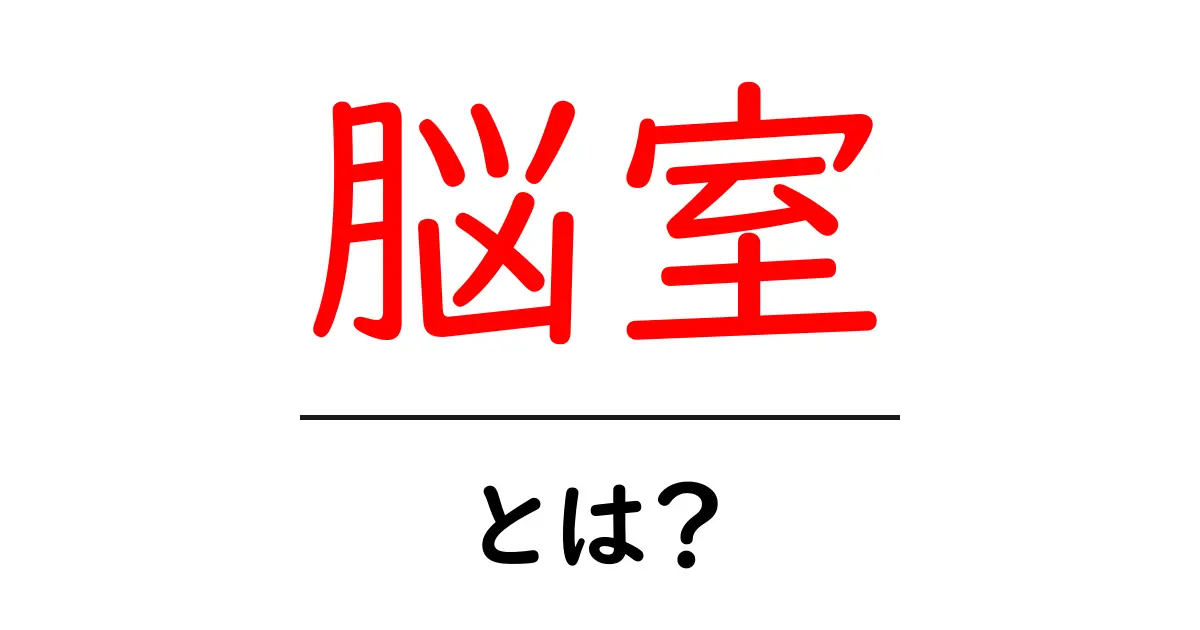 脳室を知ろう!脳の中で何が起きているの?共起語・同意語も併せて解説!
