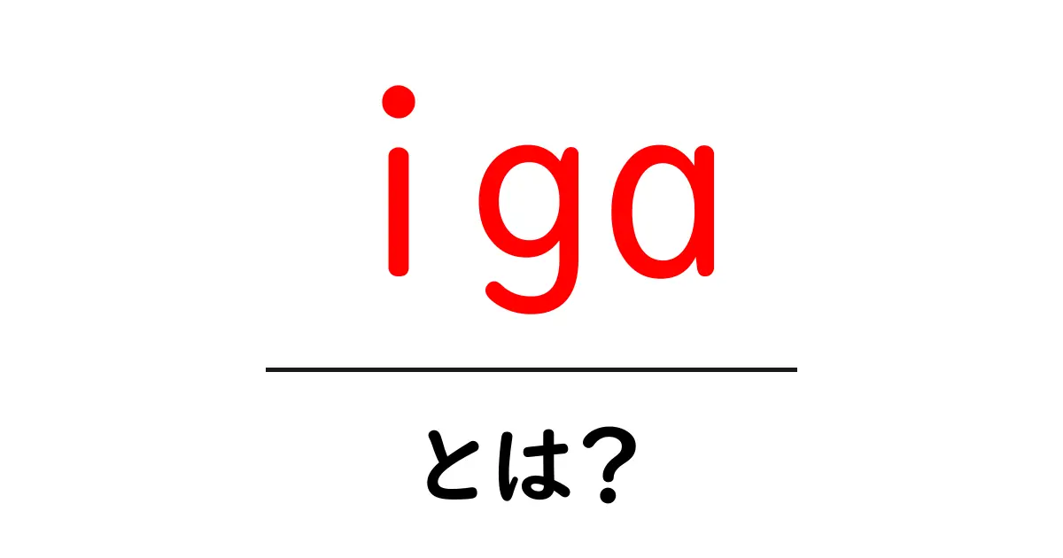 「iga(アイガ)」って何?意味や使い方を徹底解説共起語・同意語も併せて解説!