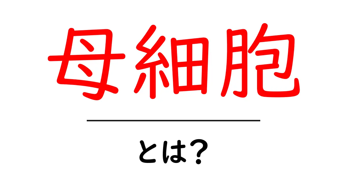 母細胞とは?その役割と重要性をわかりやすく解説!共起語・同意語も併せて解説!