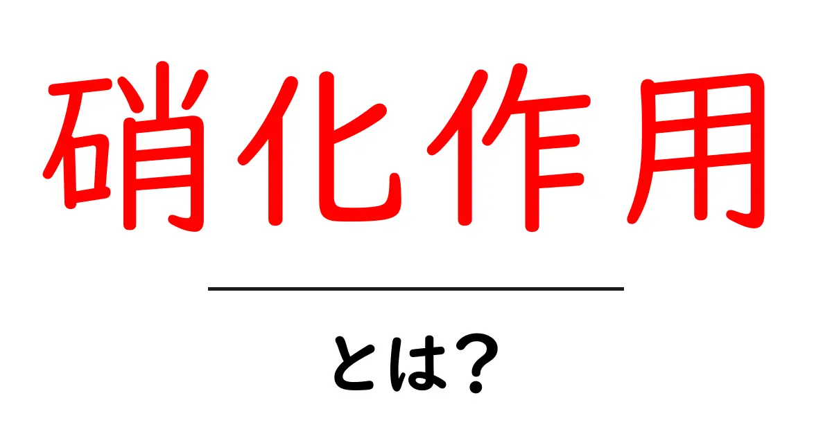 硝化作用とは?私たちの生活に役立つ微生物の力共起語・同意語も併せて解説!