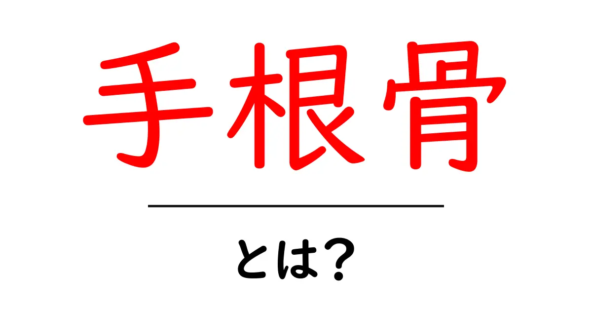 手根骨(しゅこんこつ)とは?その役割と重要性をわかりやすく解説!共起語・同意語も併せて解説!