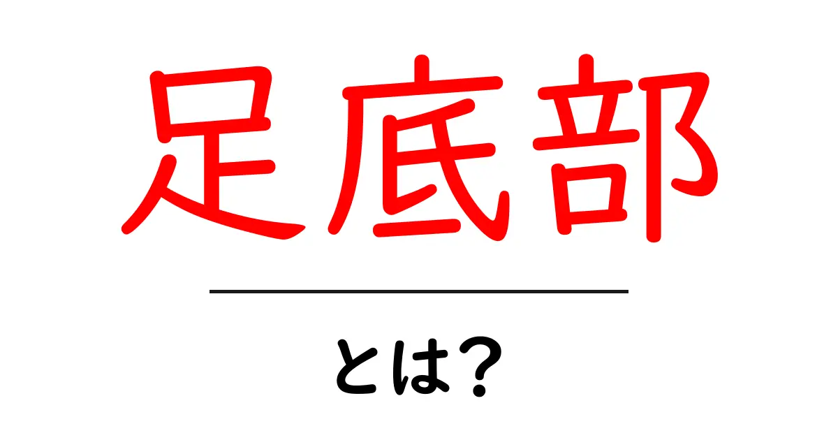 足底部とは?健康を支える大切な部分を知ろう!共起語・同意語も併せて解説!