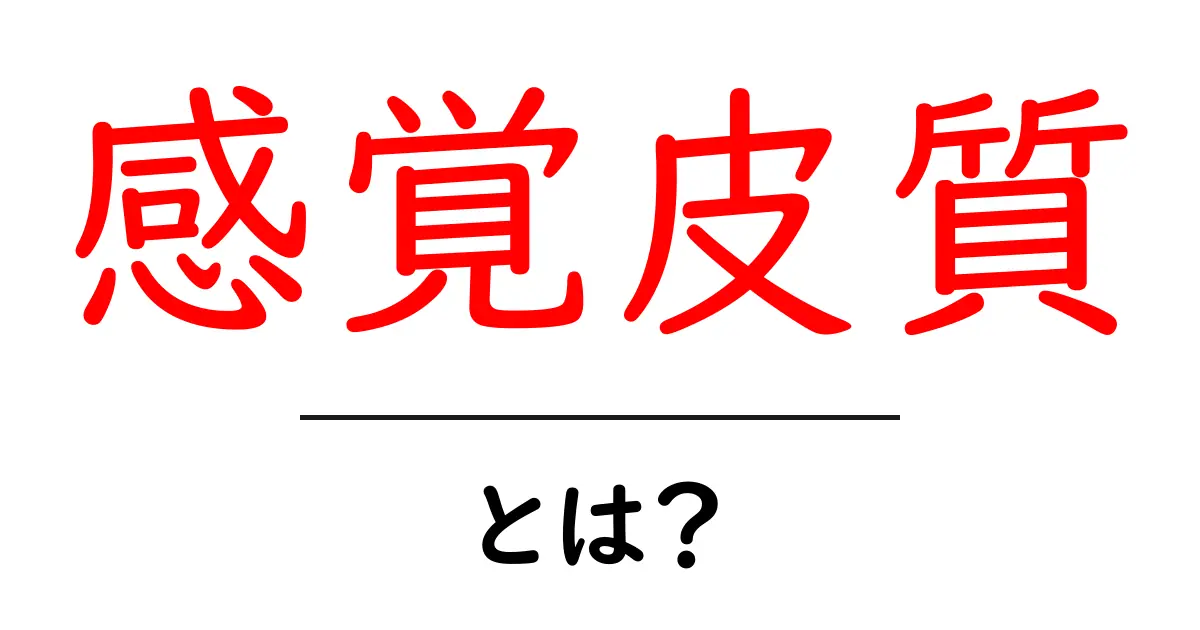 感覚皮質とは？私たちの体を感じる力の秘密共起語・同意語も併せて解説！