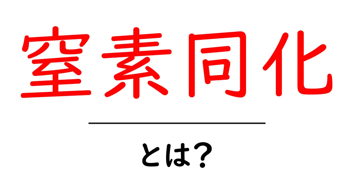 窒素同化とは?植物が栄養を作る仕組みを解説!共起語・同意語も併せて解説!