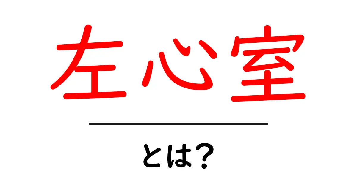 左心室とは?心臓の重要な役割と健康への影響を解説します共起語・同意語も併せて解説!