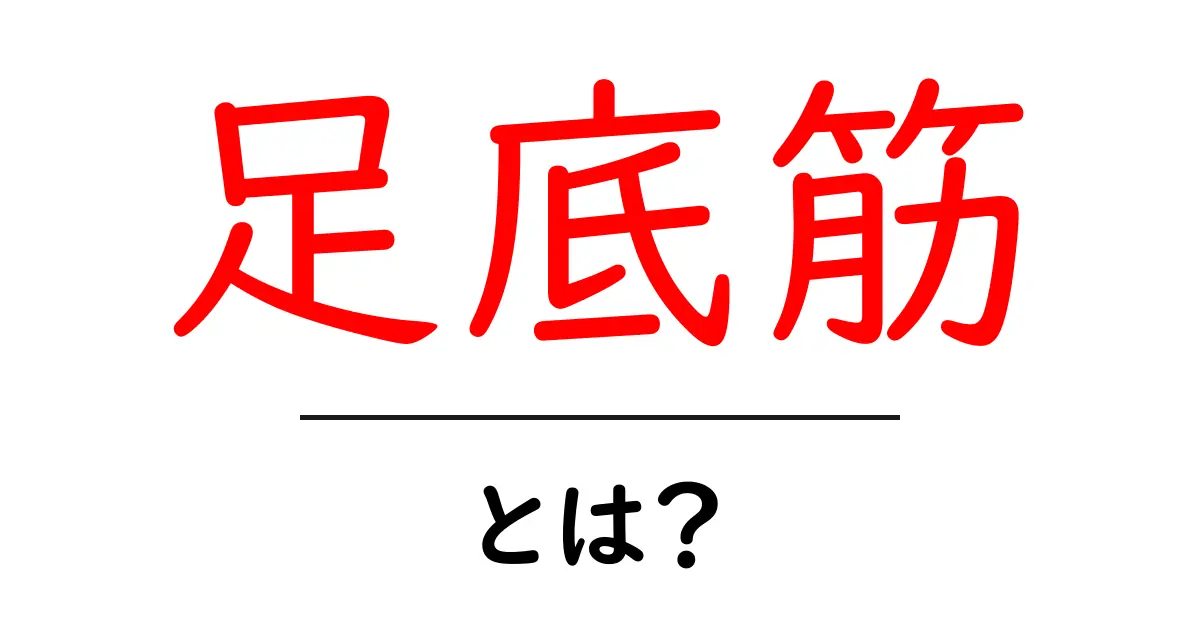 足底筋って何?基本から簡単に解説します!共起語・同意語も併せて解説!