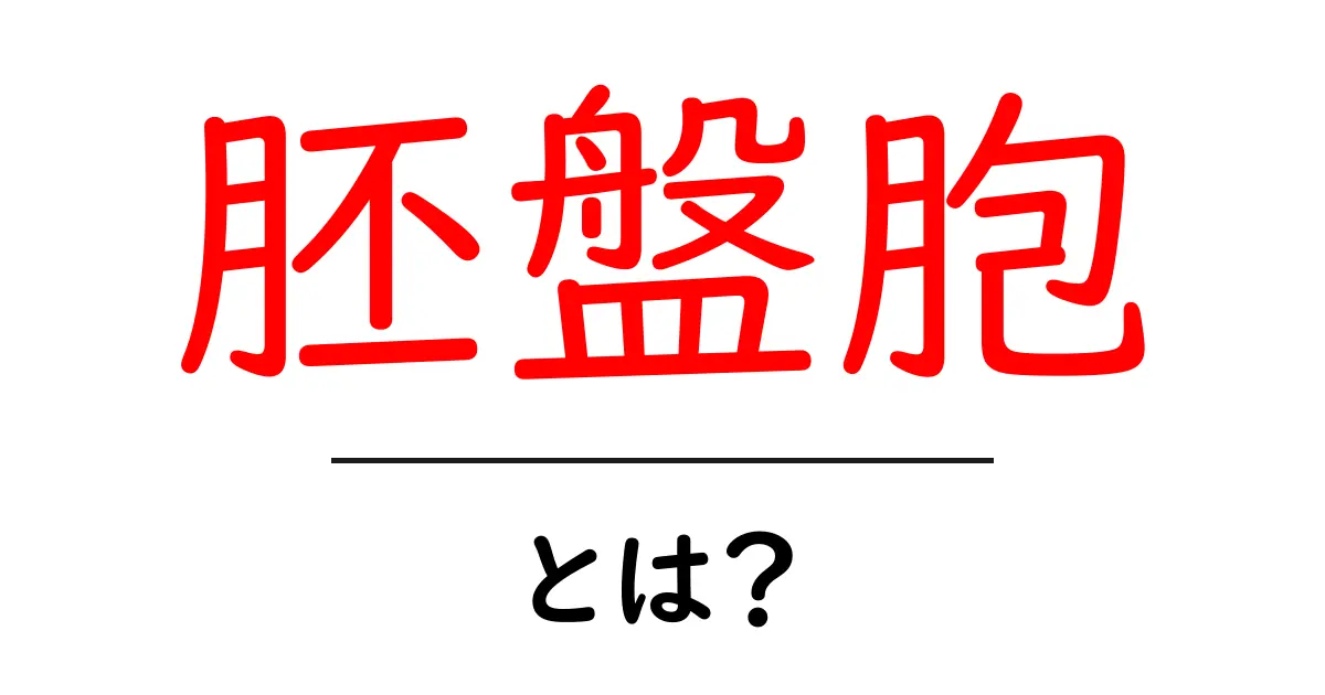 胚盤胞とは?妊娠や受精の世界を探る!共起語・同意語も併せて解説!