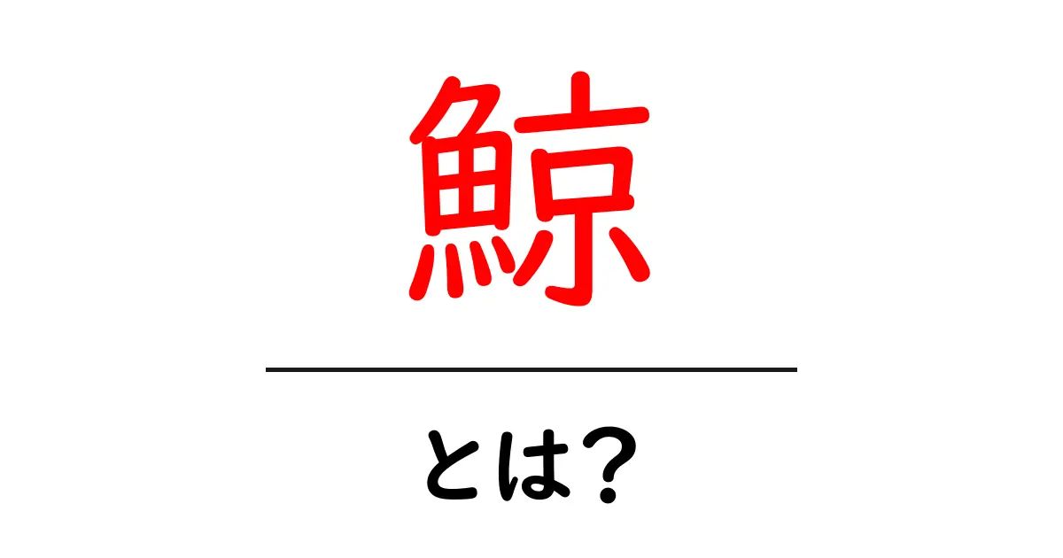 鯨とは？その生態と特徴を知ろう！共起語・同意語も併せて解説！