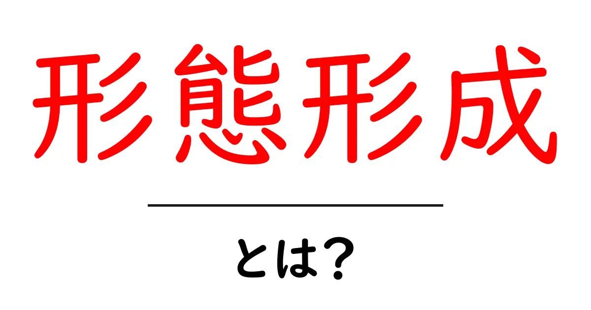 形態形成とは?基礎から学ぶ形態形成の世界共起語・同意語も併せて解説!