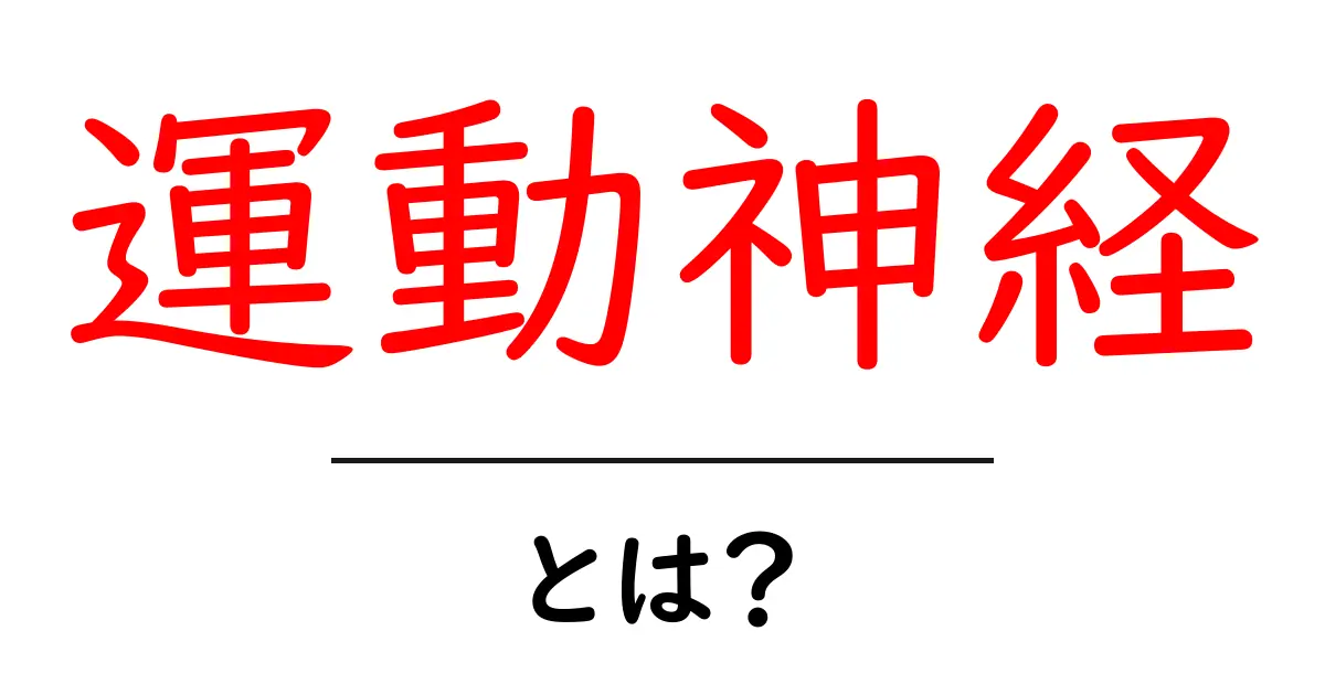 運動神経とは?その重要性と鍛え方をわかりやすく解説!共起語・同意語も併せて解説!