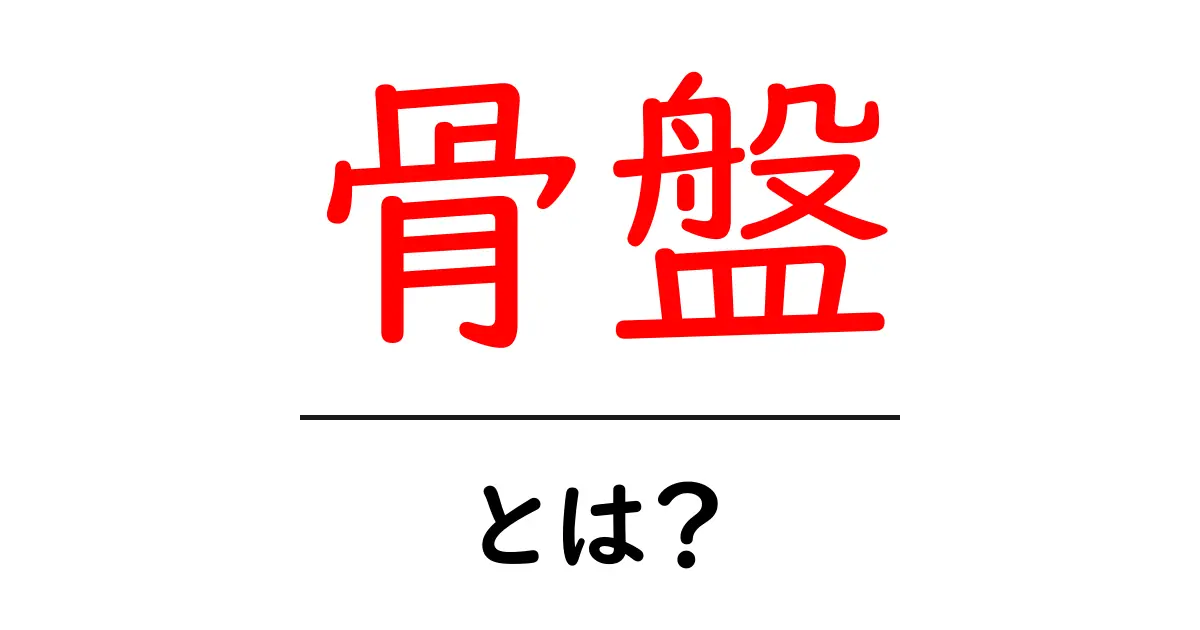 骨盤とは?知っておきたい基本情報とその重要性共起語・同意語も併せて解説!