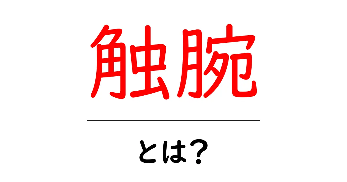 触腕とは?海の生物に見る不思議な触覚の秘密共起語・同意語も併せて解説!