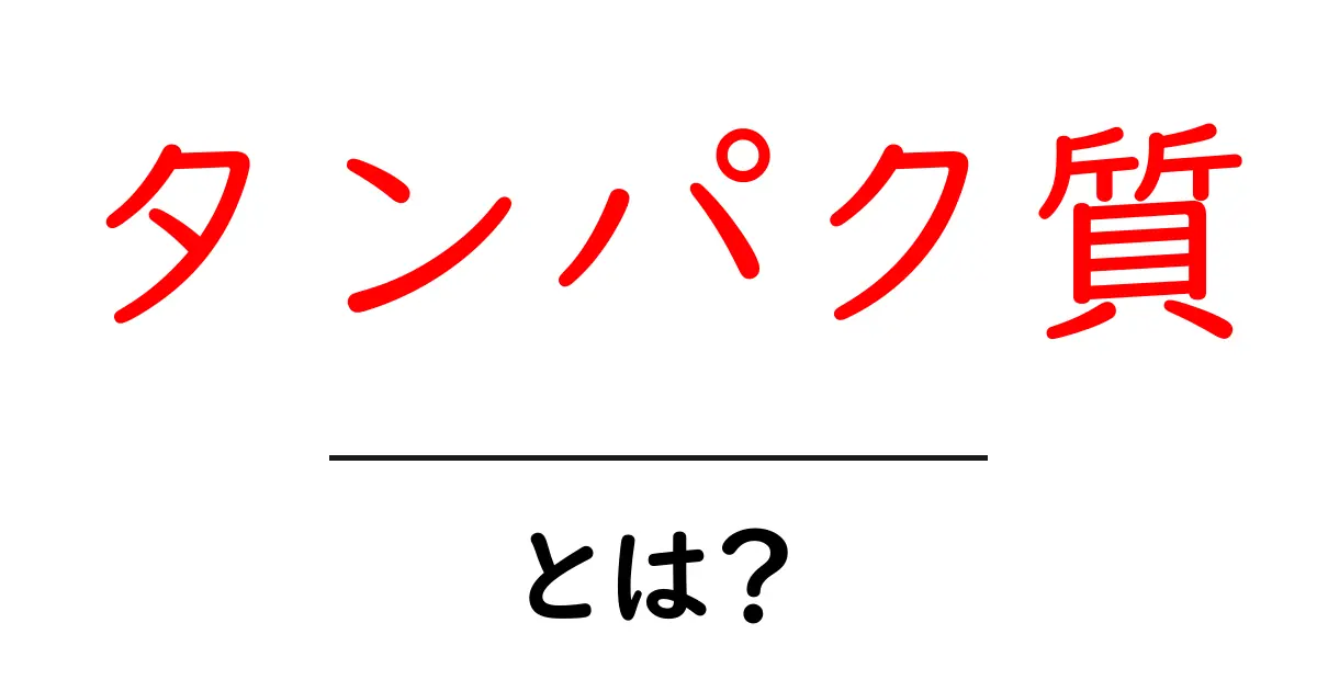 タンパク質とは?健康に必要な栄養素をわかりやすく解説!共起語・同意語も併せて解説!