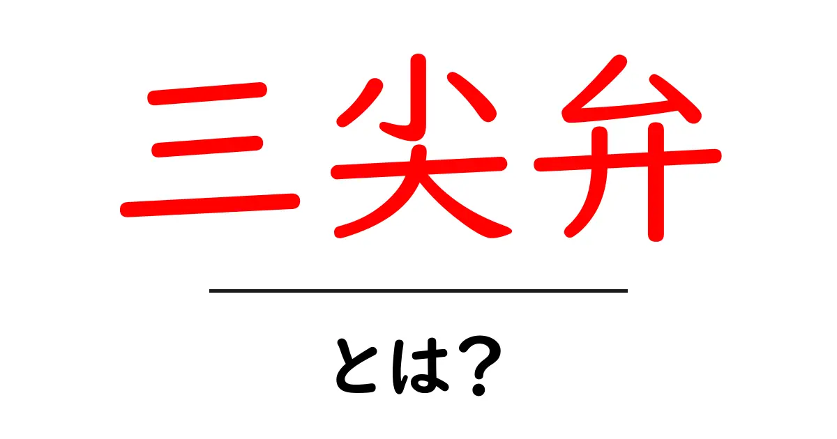 三尖弁とは?その役割と重要性を解説共起語・同意語も併せて解説!