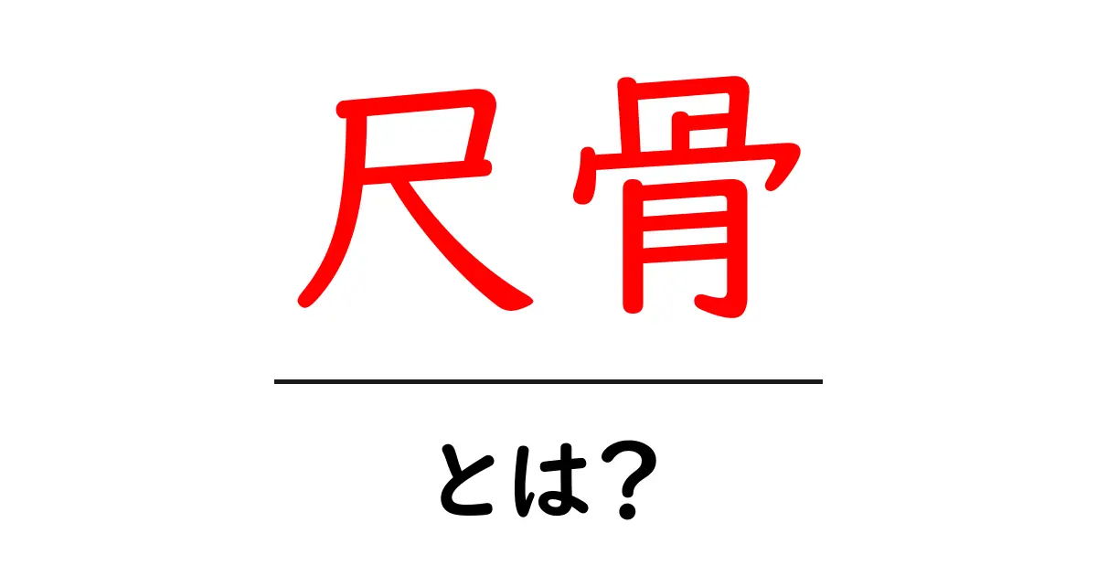 尺骨とは?骨の構造と役割をわかりやすく解説!共起語・同意語も併せて解説!