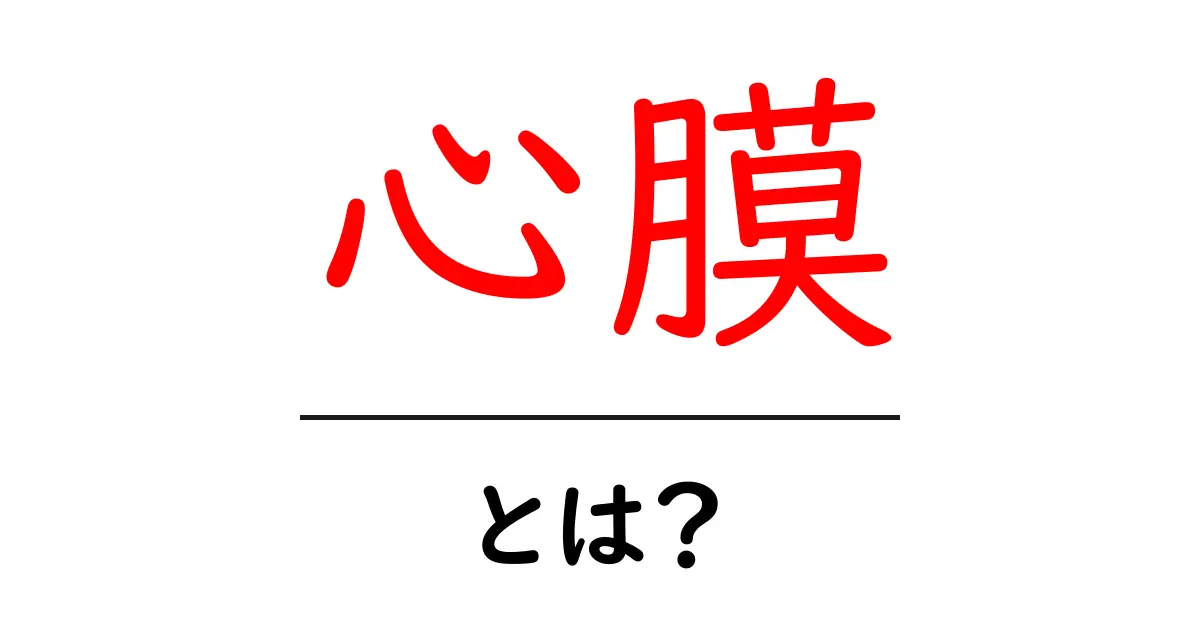 心膜とは何か?その役割と重要性をわかりやすく解説!共起語・同意語も併せて解説!