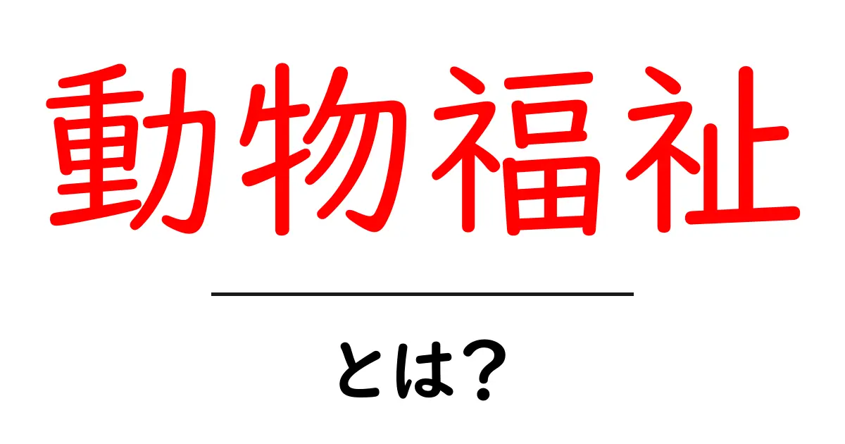 動物福祉とは？私たちの日常と動物たちの幸せを考える共起語・同意語も併せて解説！