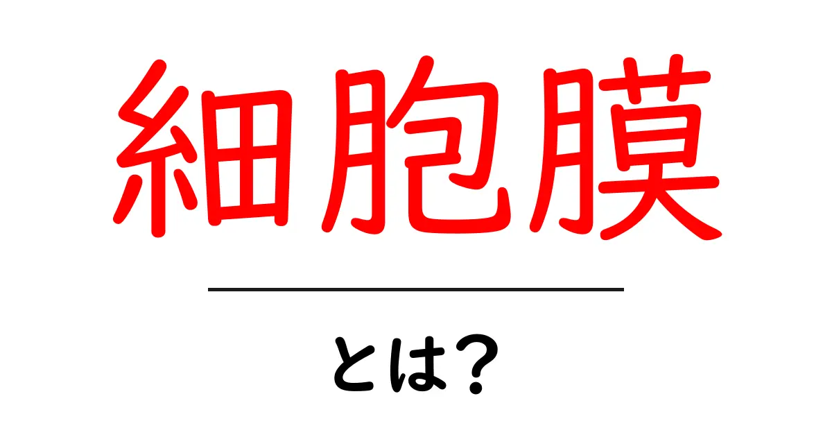 細胞膜とは？その重要な役割と構造をわかりやすく解説！共起語・同意語も併せて解説！
