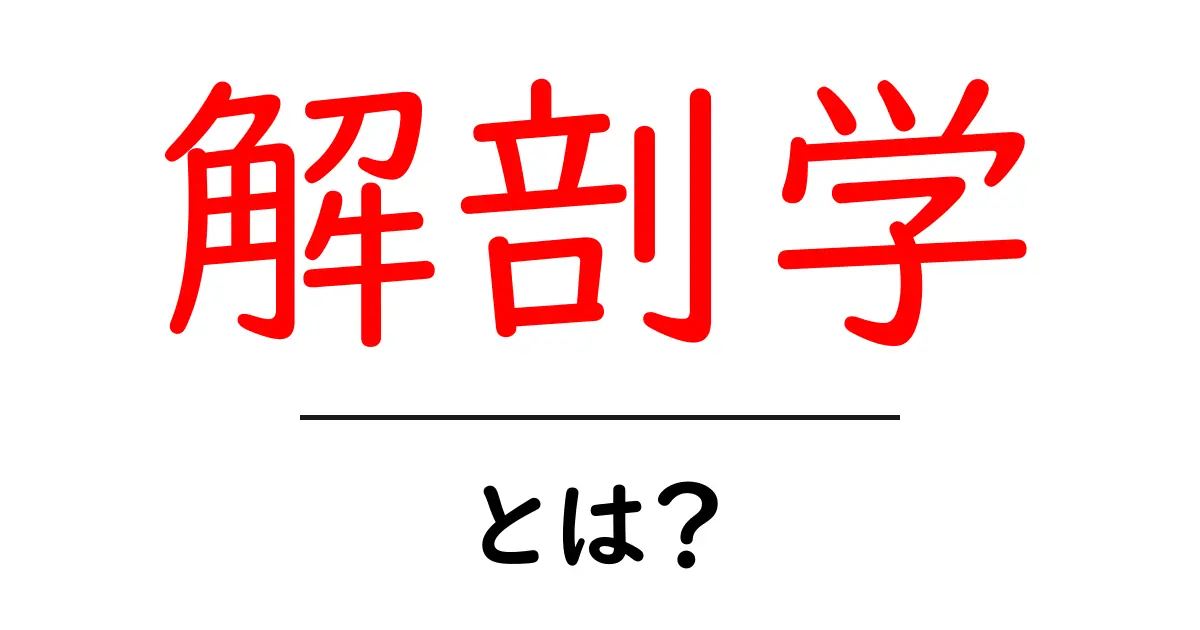 解剖学とは?基本的な知識から学ぶ人体の不思議共起語・同意語も併せて解説!