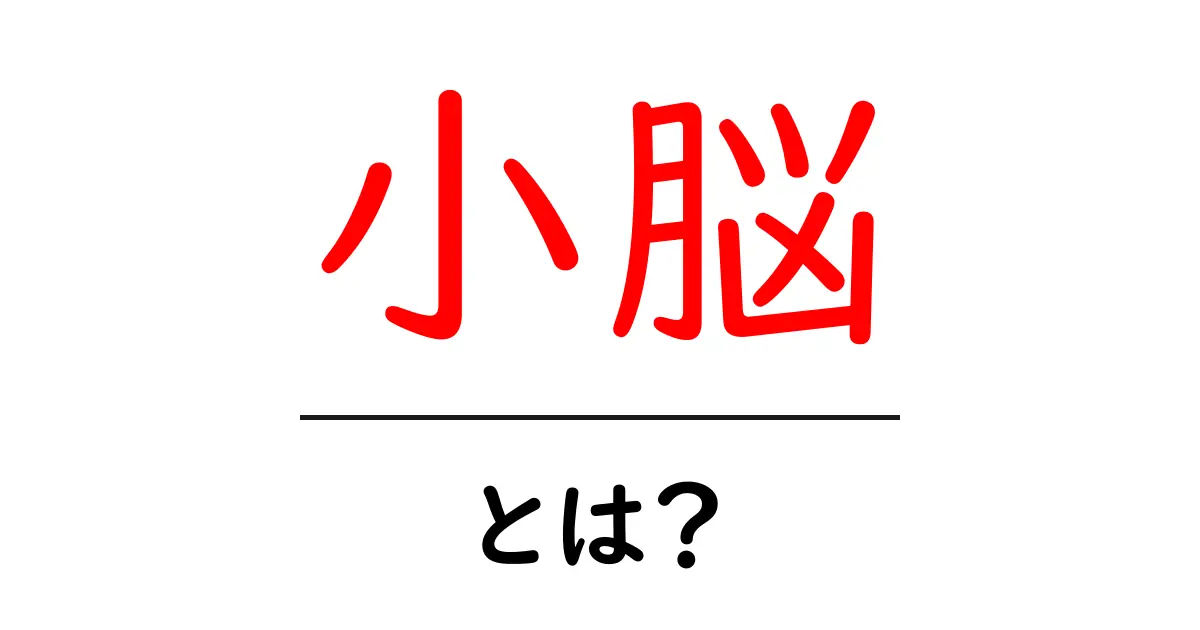 小脳とは?その役割と重要性をわかりやすく解説!共起語・同意語も併せて解説!