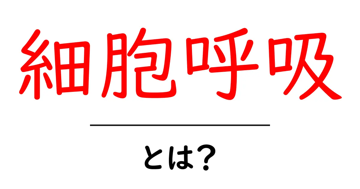 細胞呼吸をわかりやすく解説!私たちの生命に欠かせない仕組みとは?共起語・同意語も併せて解説!
