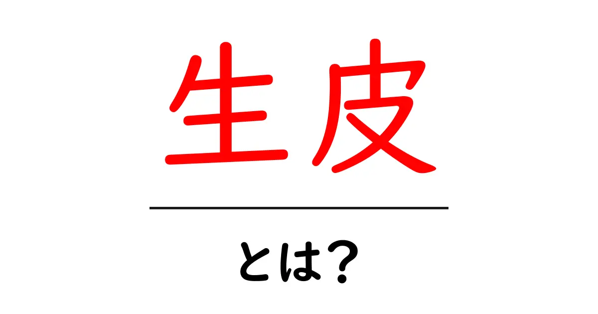 生皮とは?その魅力と用途を徹底解説!共起語・同意語も併せて解説!