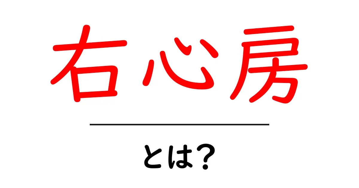 右心房とは?心臓の重要な役割と機能をわかりやすく解説共起語・同意語も併せて解説!