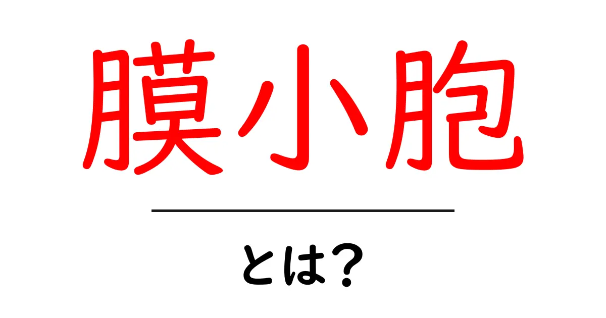 膜小胞とは何か?その役割と重要性をわかりやすく解説!共起語・同意語も併せて解説!