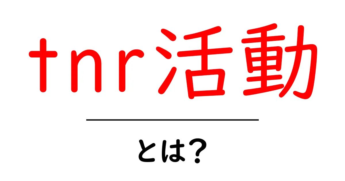 TNR活動とは？猫のための大切な取り組みを知ろう！共起語・同意語も併せて解説！
