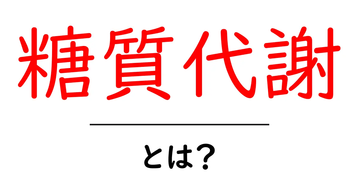 糖質代謝を知ろう!体のエネルギー源を管理する重要なプロセス共起語・同意語も併せて解説!