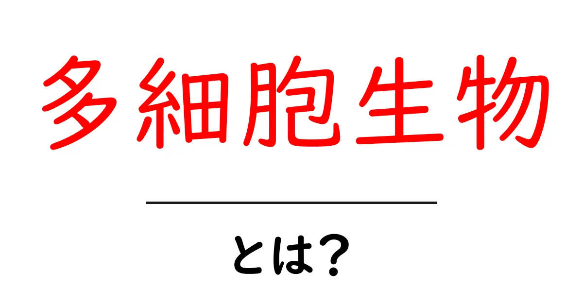 多細胞生物とは?私たちの体を支える生命の仕組みを探る共起語・同意語も併せて解説!