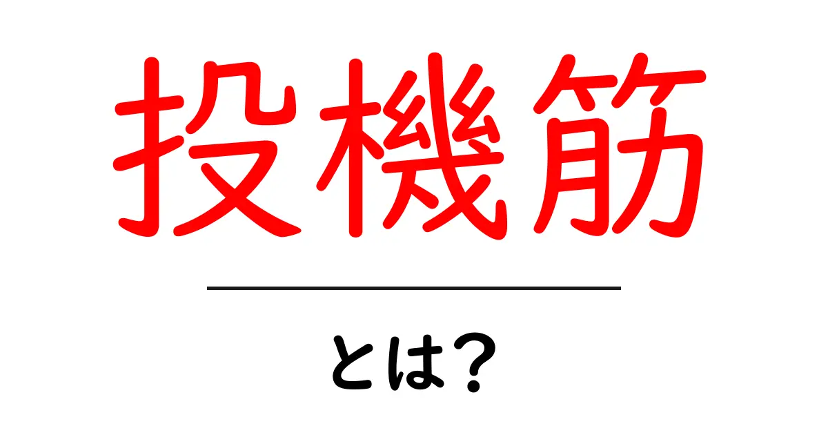 投機筋とは?理解しよう!投資とリスクの関係共起語・同意語も併せて解説!