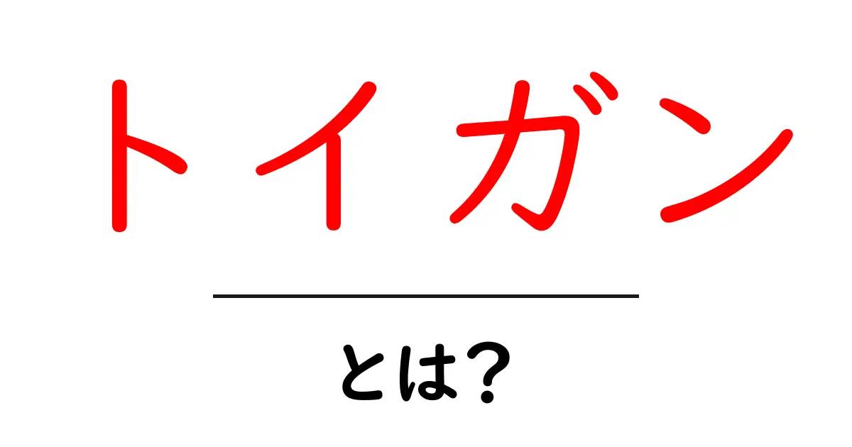 トイガンとは？楽しみ方や種類、注意点を徹底解説！共起語・同意語も併せて解説！