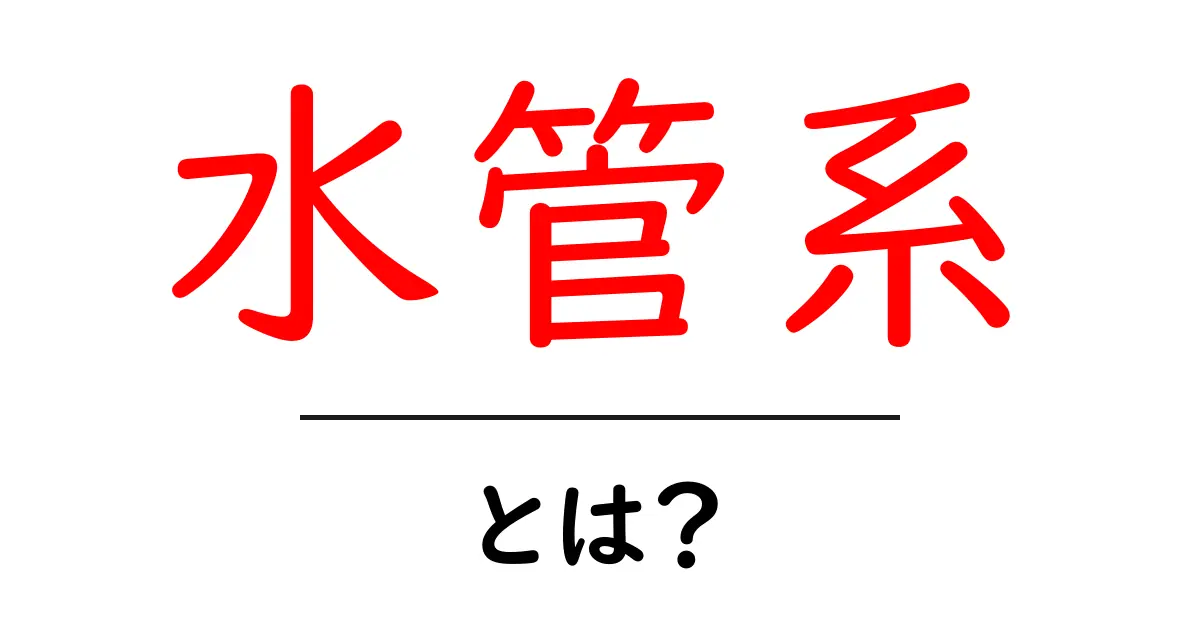 「水管系」とは?わかりやすく解説してみよう!共起語・同意語も併せて解説!