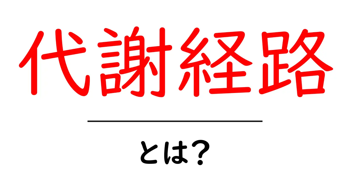 代謝経路とは?私たちの体のエネルギーを生み出す仕組みを解説!共起語・同意語も併せて解説!