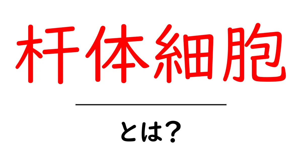 杆体細胞(がんたいさいぼう)とは?視覚の世界を支える重要な細胞の全貌共起語・同意語も併せて解説!