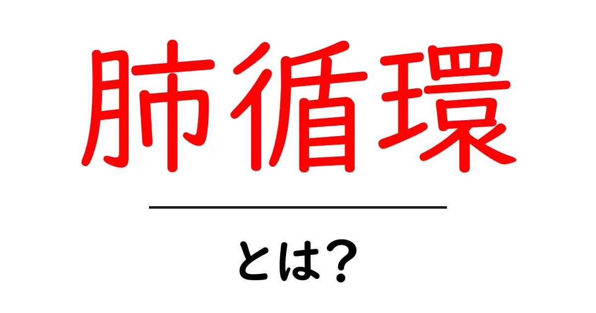 肺循環とは?その仕組みと重要性を解説!共起語・同意語も併せて解説!