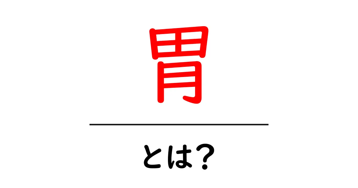 胃とは?私たちの体に欠かせない臓器の役割を解説!共起語・同意語も併せて解説!
