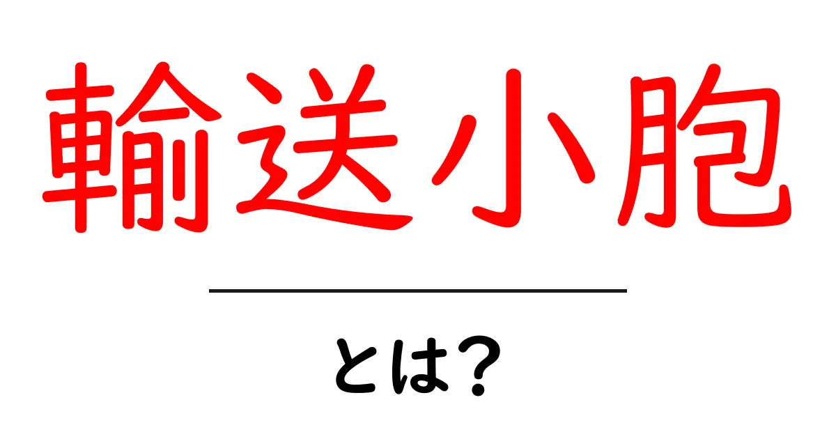 輸送小胞とは?細胞内の物質輸送の秘密を解き明かす!共起語・同意語も併せて解説!